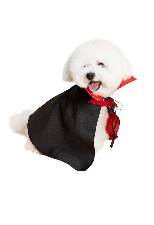ハロウィンスタイルのペットコスチューム吸血鬼のマント猫犬子犬の服
